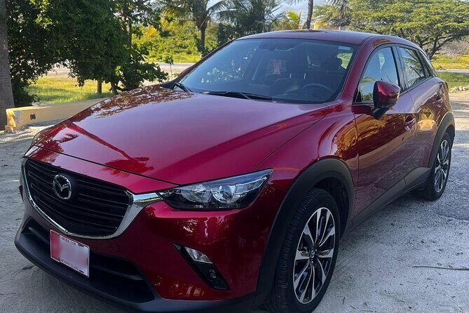 Private Pick Up or Drop Off in Aruba - Introduction