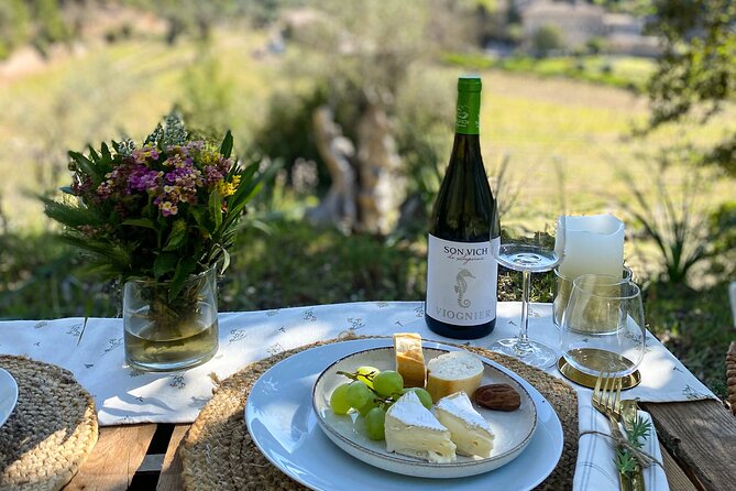 Private Picnic Experience With Winery Tour & Tasting in Mallorca - Relaxing Picnic Setting