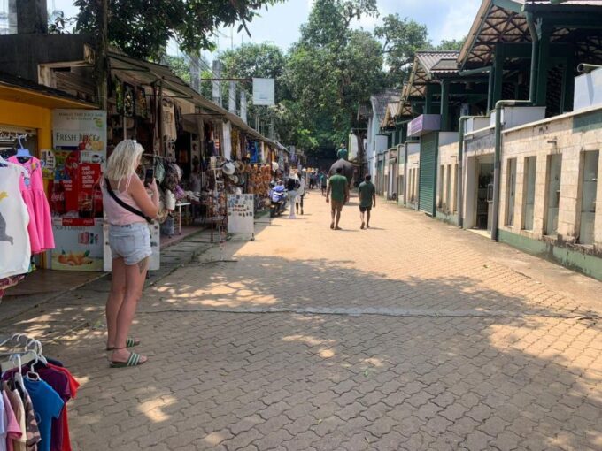 Private Pinnawala & Kandy Day Tour From Negombo - Cultural and Safety Guidelines