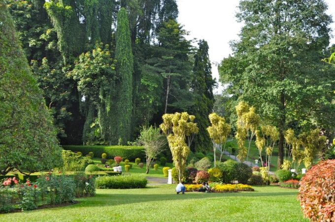 Private Pinnawala & Kandy Day Tour From Negombo - Cancellation and Rescheduling