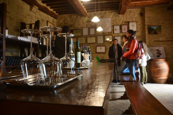 Private Pisa & Lucca Day Tour From Florence - Lunch Included