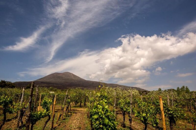 Private Pompei Tour - Key Points