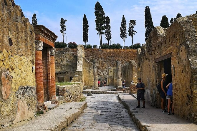 Private Pompeii and Herculaneum Tour by Car - Group Size and Pricing