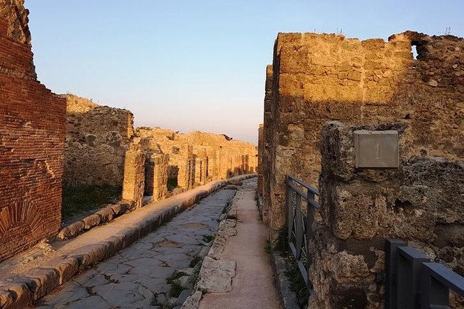 Private Pompeii & Herculaneum Guided Tour With An English-Speaking Archaeologist - Archaeologists Expertise