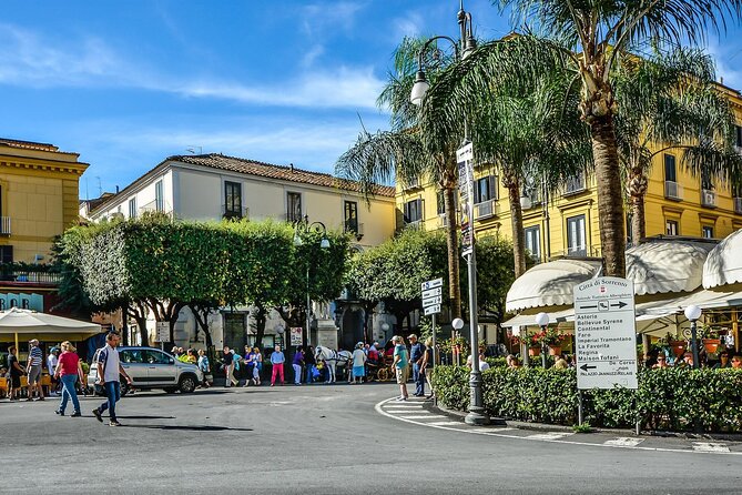 Private Pompeii, Sorrento and Positano Tour - Booking Information and Reviews