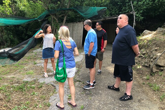 Private Pompeii Tour With Lunch and Olive Oil Factory Experience - Review and Ratings