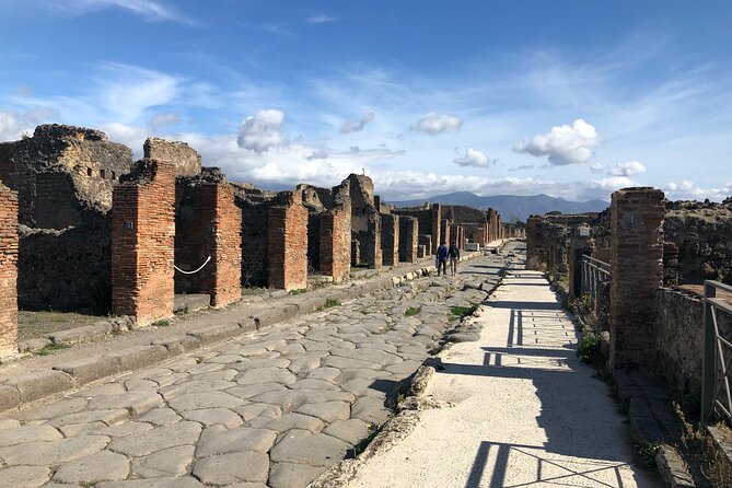 Private Pompeii Tour With Lunch and Olive Oil Factory Experience - Olive Oil Farm Experience