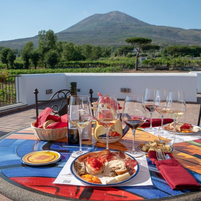 Private Pompeii & Vesuvius Wine Tasting Tour - Itinerary and Activities