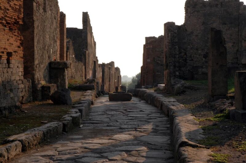 Private Pompeii & Vesuvius Wine Tasting Tour - Culinary Experience