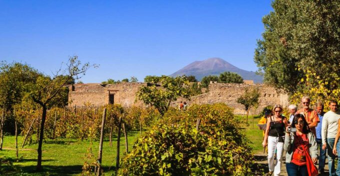 Private Pompeii & Vesuvius Wine Tasting Tour - Small Group Experience