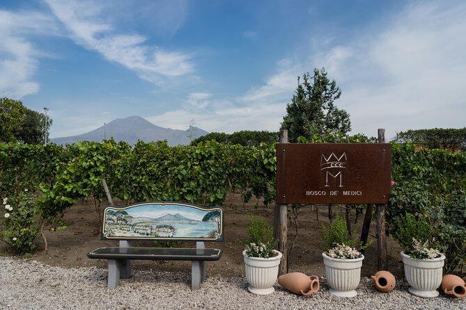 Private Pompeii Wine Tasting With Lunch - Logistics