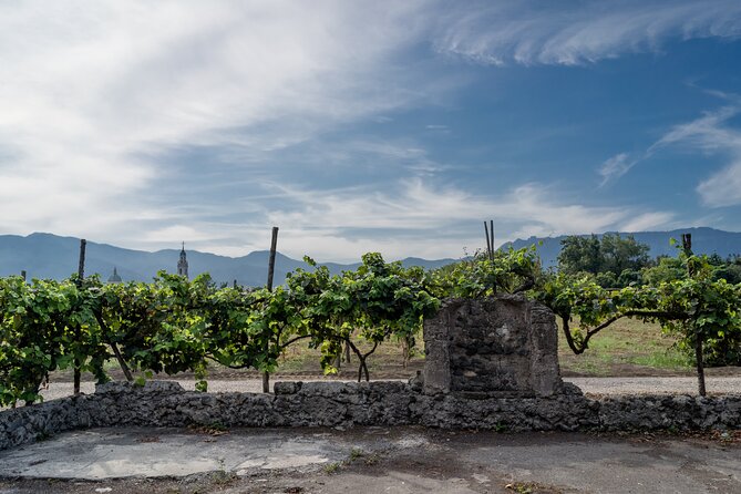 Private Pompeii Wine Tasting With Lunch - Cancellation Policy