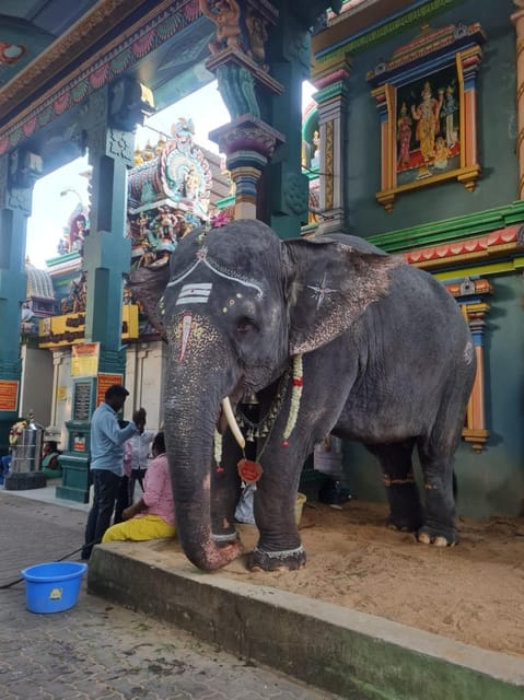 Private Pondicherry Tour With Car, Guide, Cycling and Dinner - Inclusions