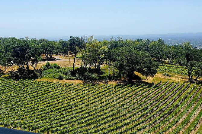 Private Pool Side Yoga Day Retreat With Wine Tasting - Schedule
