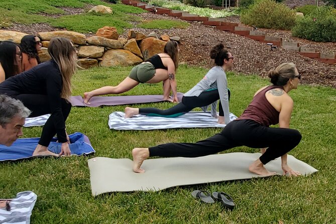 Private Pool Side Yoga Day Retreat With Wine Tasting - Participant Requirements