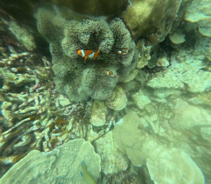 PRIVATE PORT BARTON DAY TOUR FROM PUERTO PRINCESA - Activity Descriptions
