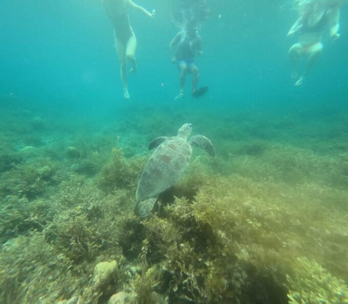 PRIVATE PORT BARTON DAY TOUR FROM PUERTO PRINCESA - Frequently Asked Questions