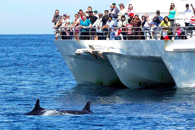 Private Port Stephens Day Trip From Sydney Incl Dolphin Cruise - Cruise Details
