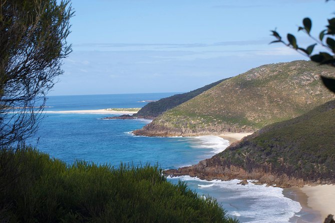 Private Port Stephens Day Trip From Sydney Incl Dolphin Cruise - Reviews and Ratings