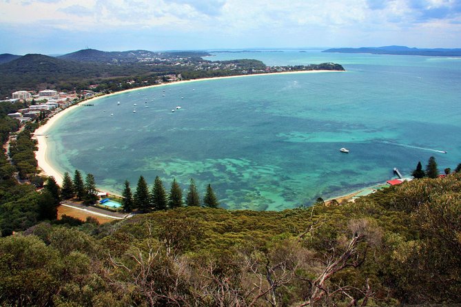 Private Port Stephens Day Trip From Sydney Incl Dolphin Cruise - Optional Sandboarding or 4WD