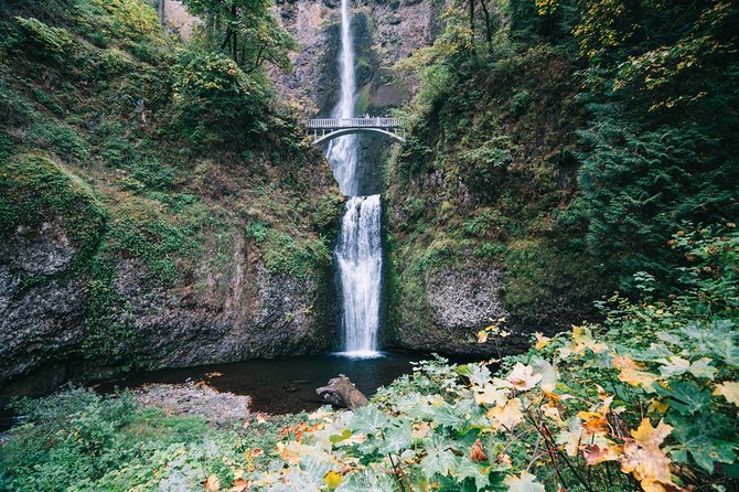 Private Portland City/Gorge Waterfalls Tour - Frequently Asked Questions