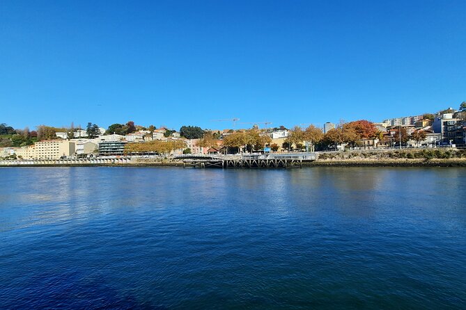Private Porto Discovery: Walking Tour, Wine Cellars With Tastings - Additional Tour Details