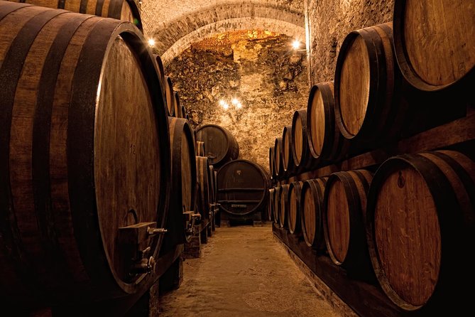 Private Porto Half Day Tour: Port Wine Cellars and Cheese Tasting - Culinary Delights