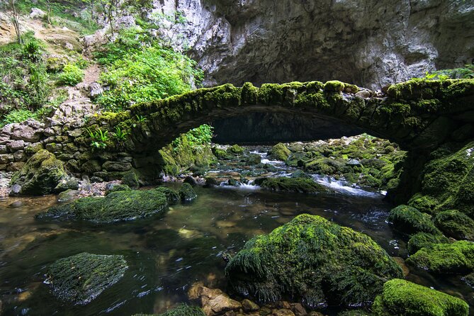 Private Postojna Cave & Predjama Castle Tour From Ljubljana - What to Expect During the Tour