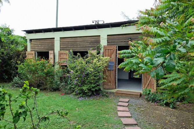 Private Pottery Experience at British Virgin Islands - Meeting and Pickup Details