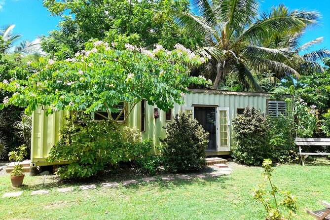 Private Pottery Experience at British Virgin Islands - Flexible Cancellation Policy