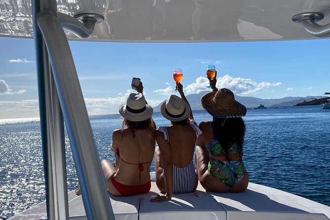 Private Power Catamaran Adventure in Saint Kitts and Nevis - Ideal for Families and Groups