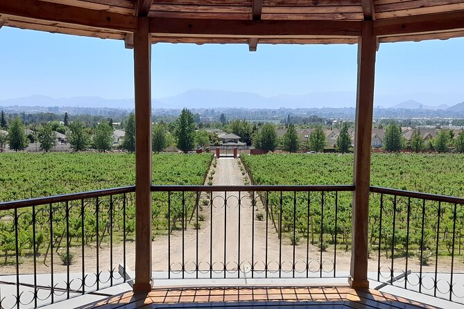 Private Pre/Post Cruise Tour Valparaiso & Casablanca Wine Valley - Discover Viña Del Mars Charm
