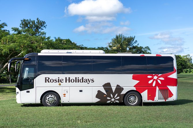 Private Premium Departure Transfer : Hotel to Nadi Airport - Vehicle Specifications