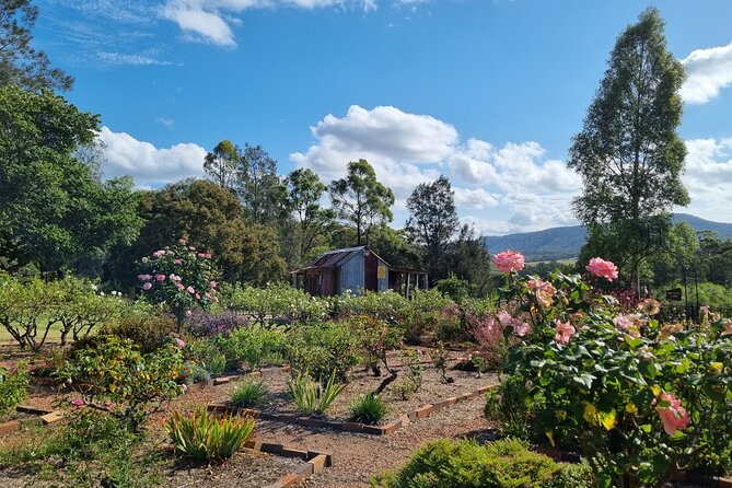 PRIVATE PREMIUM Wine Tour for Your Group - Pickup and Scheduling