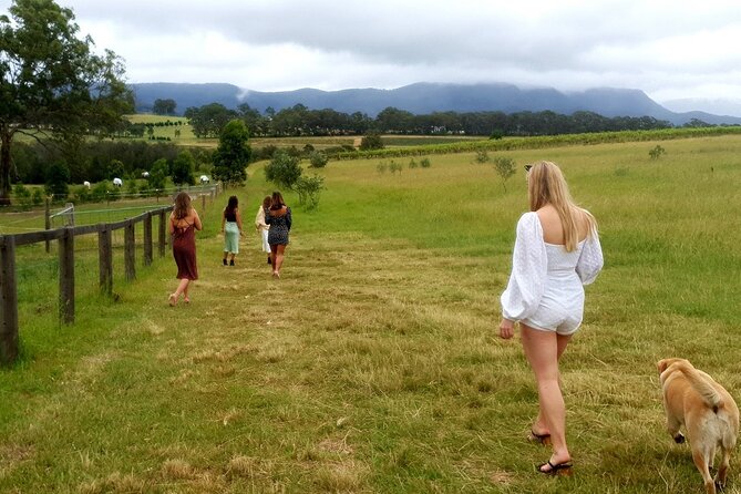 PRIVATE PREMIUM Wine Tour for Your Group - Exceptional Guide Highlights