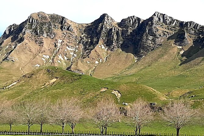 Private Prestigious Wine Tour in Napier - Accessibility and Participation