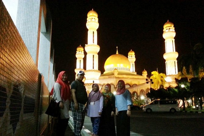 Private Proboscis Monkey, Water Village & Bandar by Night Tour - Kampong Ayer Boat Ride