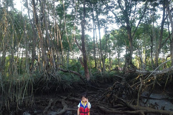 Private Proboscis Monkey, Water Village & Bandar by Night Tour - Itinerary Highlights