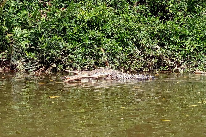 Private Proboscis Monkey & Water Village Tour - Natural Waterfalls and Landscapes