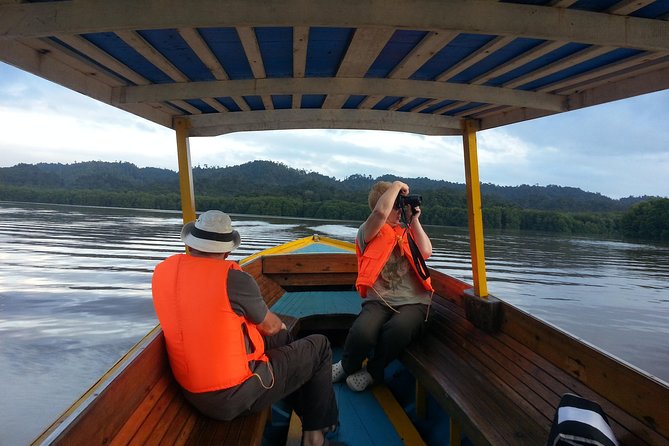 Private Proboscis Monkey & Water Village Tour - Endangered Proboscis Monkeys