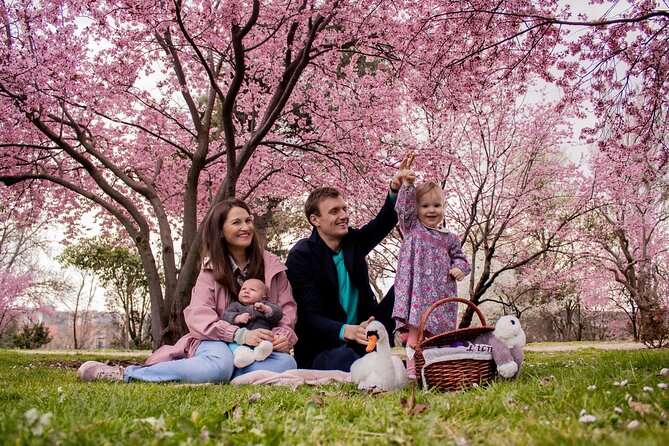 Private Professional Photoshoot in Tokyo - Accessibility