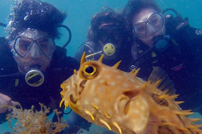 Private Program for Accredited Diver in Búzios - Meeting and Pickup