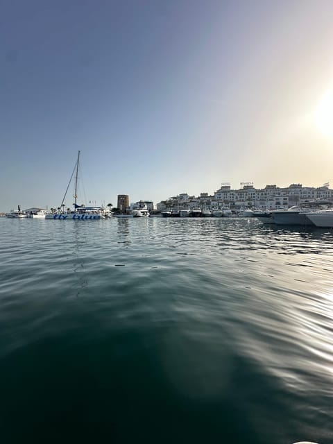 Private Puerto Banus Sunset Boat Tour And/Or Dolphin Sighting - Booking Information