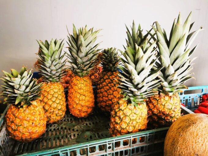 Private Puerto Plata Food Tour and Beach Chillout - Recap