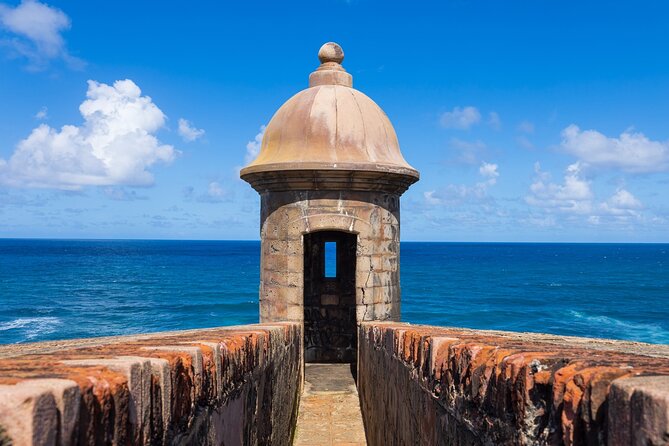 Private Puerto Rico Cultural Tour - Accessibility Information