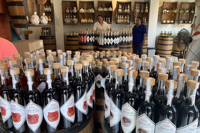 Private Puerto Vallarta Local Style Tequila Walking Tour and Brunch - Ratings and Reviews