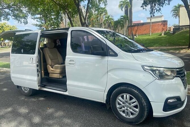 Private Punta Cana Airport Ground Transfers - Pickup and Drop-off