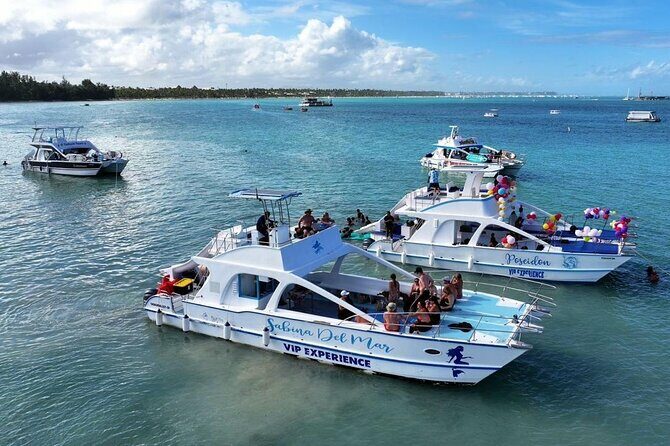 Private Punta Cana Boat Cruise with Snorkeling & Open Bar Party - Who Will Love This Tour?