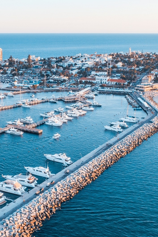 Private - Punta Del Este City Tour for Cruisers - Transportation and Accessibility