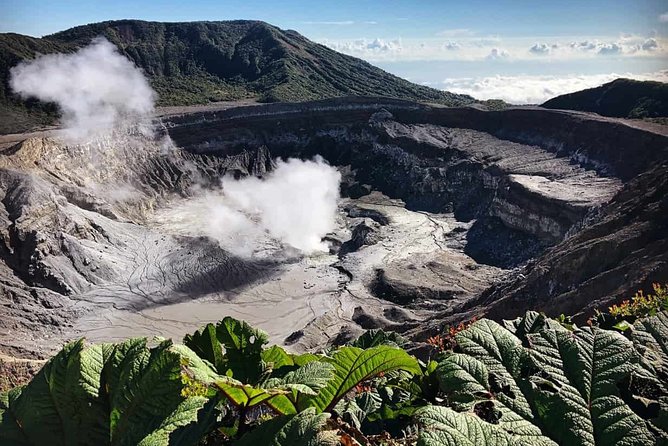Private Puntarenas Shore Excursion: Poas Volcano and La Paz Waterfall Gardens - Customer Feedback and Recommendations